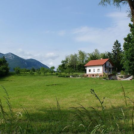 Apartments Leni Postojna Exterior photo