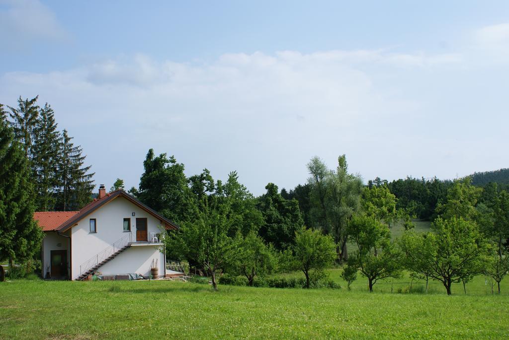 Apartments Leni Postojna Exterior photo