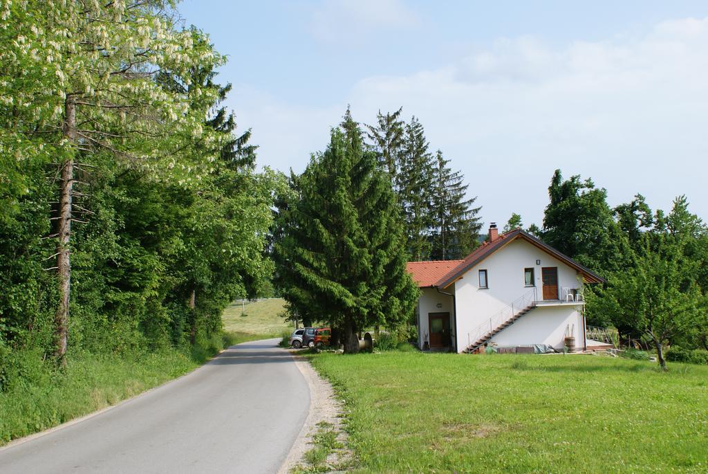 Apartments Leni Postojna Exterior photo